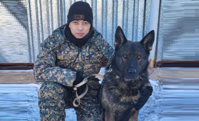 Служебная собака нашла спрятанные в автомобили наркотики