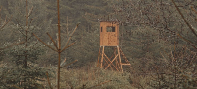 "Правительство "забыло" половину сотрудников" &ndash; депутат о повышении зарплат лесничим