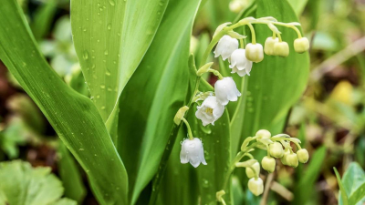 Гроза и 31-градусная жара ожидаются в крупнейших городах Казахстана