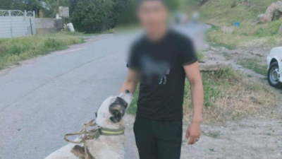 Привязанную к едущему авто собаку сняли на видео в Шымкенте