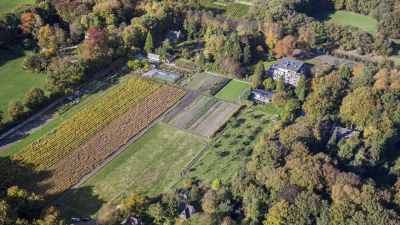 Земельные участки почти на 700 млн тенге вернули государству в Астане