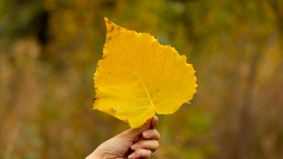 Какая погода ожидает казахстанцев в ближайшие три дня