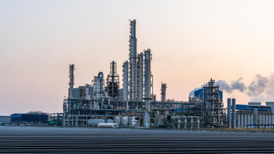 "Начались болезни": жители Алматинской области потребовали сноса незаконного завода