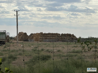 Сено подорожало, план недовыполнен: как Индер входит в зимний сезон