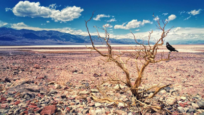 Жара до 38 градусов и сильный ветер: штормовые предупреждения объявили в регионах Казахстана