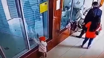 Ребенок камнем разбил стекло вольера для обезьян в зоопарке Шымкента