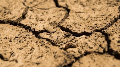 Некоторые регионы Казахстана могут столкнуться с засухой