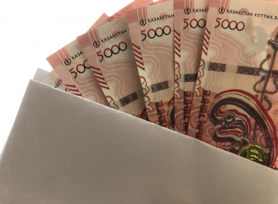 Запрет на приобретение легионеров за счет бюджета одобрили в Сенате