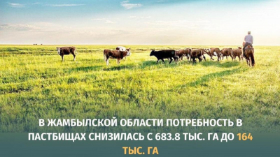 В Жамбылской области потребность в пастбищах снизилась с 683 тыс. до 164 тыс. гектар