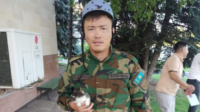 В Усть-Каменогорске слепого котенка спасали из под обшивки здания акимата