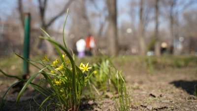 Как будут отдыхать казахстанцы в мае