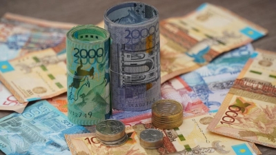 Токаев о мерах соцподдержки: Любая помощь не должна порождать иждивенчества