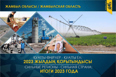 Жамбылская область в 2023 году. Факторы устойчивого развития