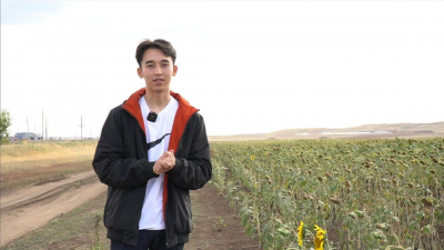 Казахстанские студенты смогут обучаться в вузе бесплатно, получив гранты от "Сәтті Жұлдыз"