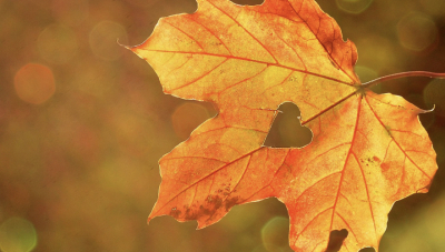 Погода без осадков ожидается в понедельник в Астане, в Алматы и Шымкенте дождь