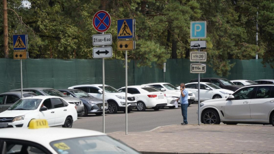 Дифференцированный тариф за парковку хотят ввести в Алматы этой осенью