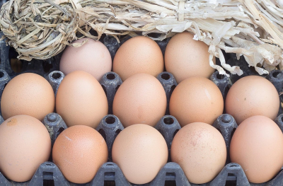 Более 60 тыс. куриных яиц пытались незаконно ввезти в Казахстан из России