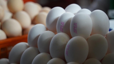 Яйца казахстанского производства могут пропасть с прилавков