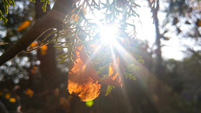 От заморозков до 30-градусной жары: прогноз погоды в Казахстане