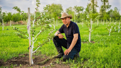 Вкус настоящих яблок: уникальный сад создала обычная семья из Уральска