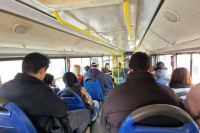 Водители или водятлы? &nbsp;