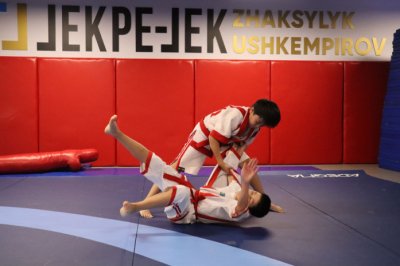 Глава федерации &laquo;Жекпе-жек&raquo; оштрафован за присвоение спортивных званий лицам вне спорта