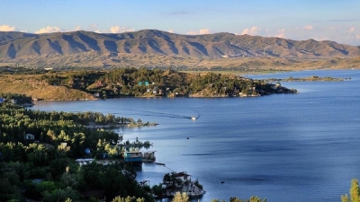 Акимат ВКО: В Новой Бухтарме за заросшие бурьяном участки просят миллионы тенге