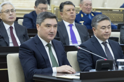 Законопроекты вносятся в мажилис с опозданием &mdash; премьер