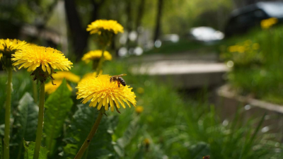 Жара до 45 градусов, проливные дожди и грозы: какое лето ждет казахстанцев в этом году