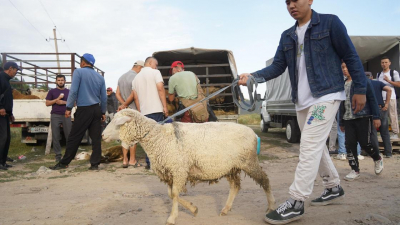 Медики обратились к алматинцам в преддверии праздника Курбан айт