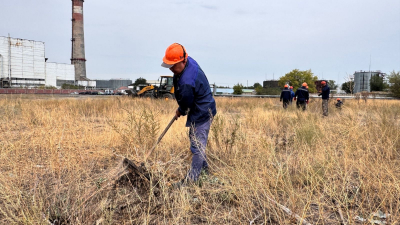 Экоакция &laquo;Таза бейсенбі&raquo; объединила тысячи жителей области Жетысу