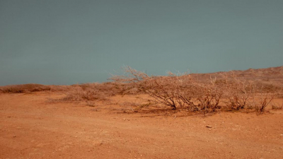 Жара до 42 градусов и угроза пожаров: штормовые предупреждения объявили в Казахстане