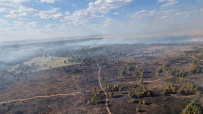 Пожар в Абайской области локализован (фото)