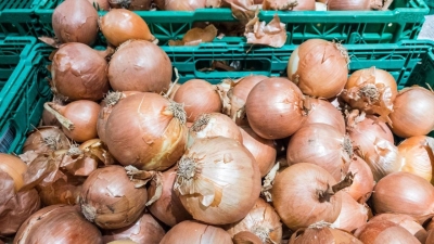 Казахстанским фермерам разрешат вывезти 20 тыс. тонн лука