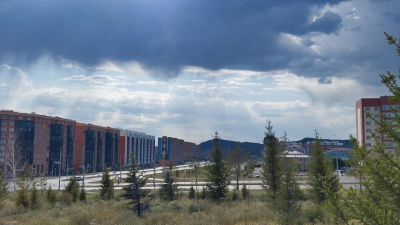 Какой результат показала технология капельного орошения деревьев в Усть-Каменогорске