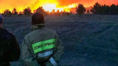 Работники "Семей орманы" написали жалобу Токаеву